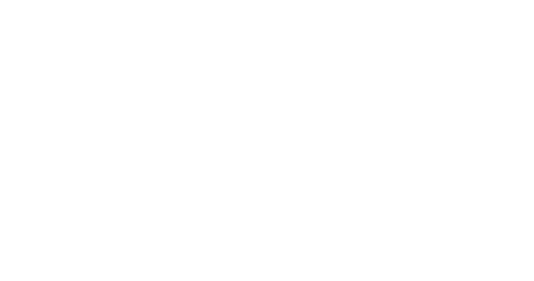 Anh Vũ Paint